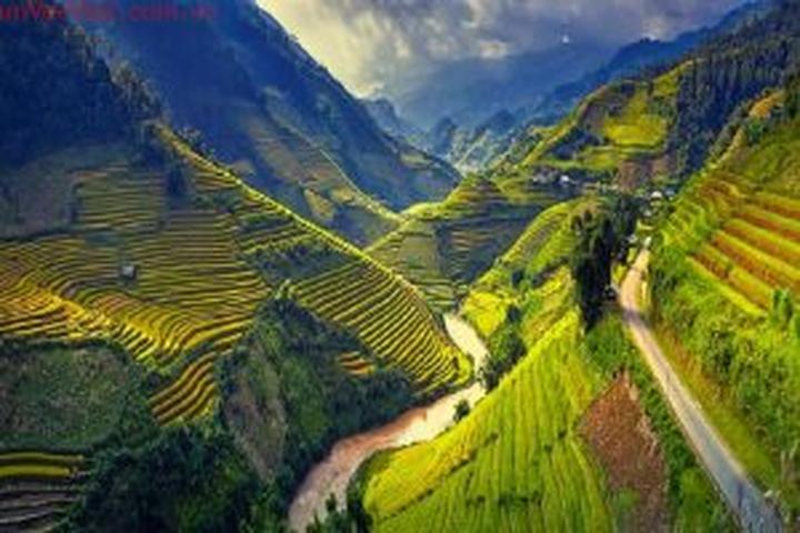 Xu hướng Tận hưởng FIFA Club World Cup: Hotspot Matrix tiết lộ bí quyết video viral