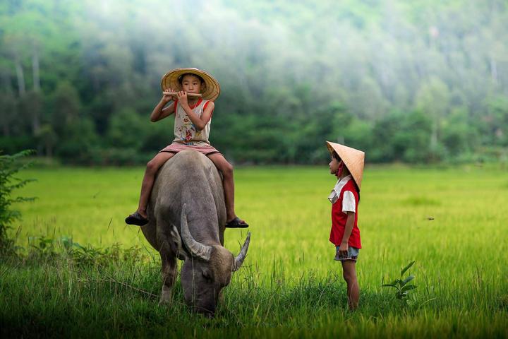 Xu hướng Mua váy hoa mà không biết 4: Hotspot Matrix tiết lộ bí quyết video viral