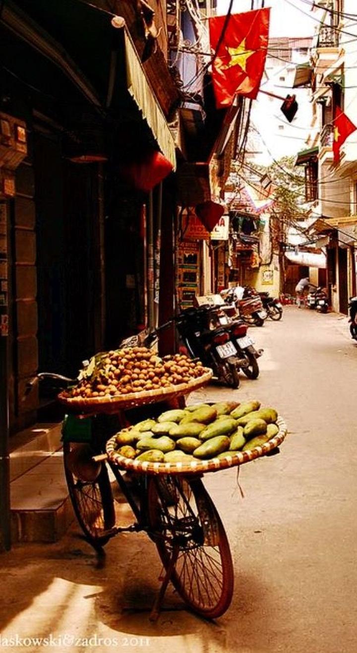 Xu hướng