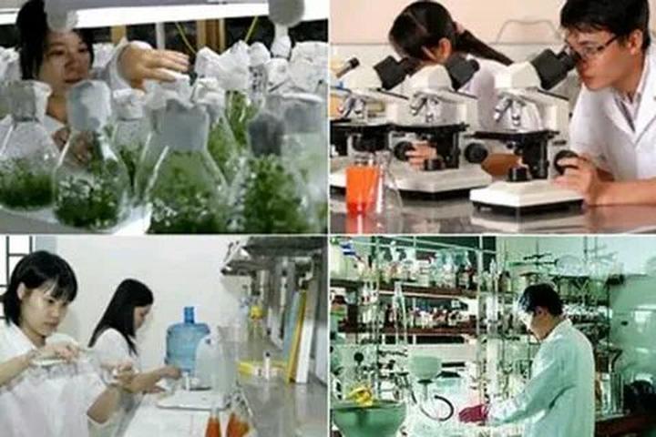 Gỗ và Video: Kết nối nghệ thuật truyền thống với công nghệ hiện đại