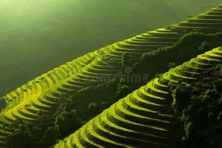 Nữ diễn viên có style