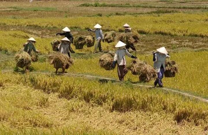 Mỹ Tâm: Họa mi tóc nâu và mối quan hệ với học trò